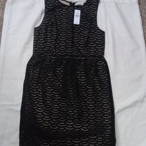 LOFT Black and Cream Lace Dress